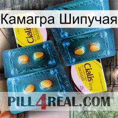 Камагра Шипучая cialis5